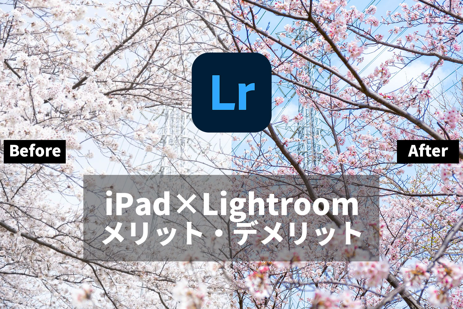 iPadとLightroomで写真現像をするメリットとデメリット。